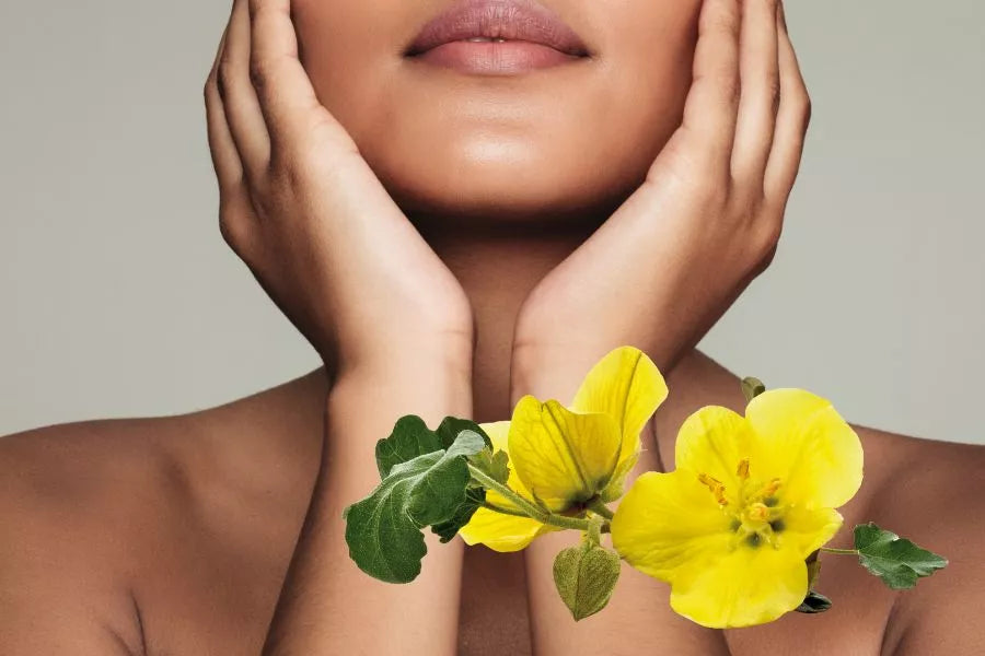 Benefits of Evening Primrose Oil for Skin